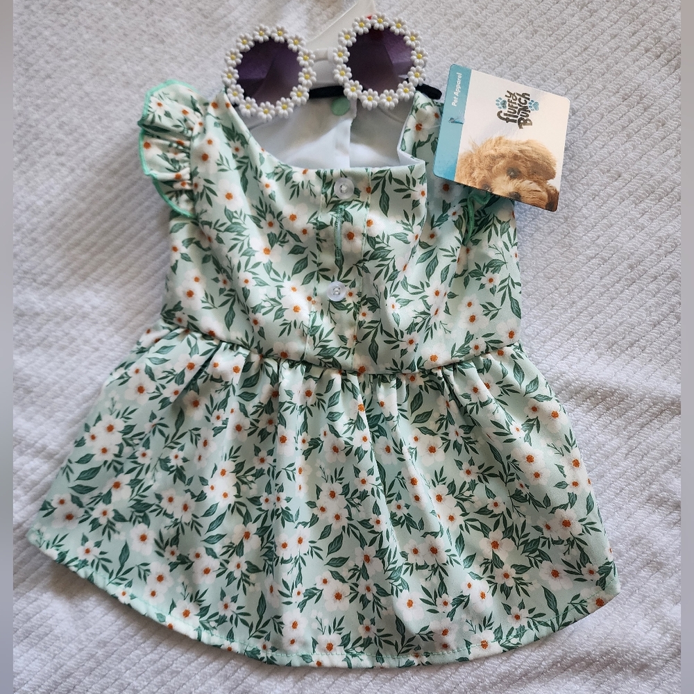 Pets  Floral Button-Front Dress in Mint Green and White